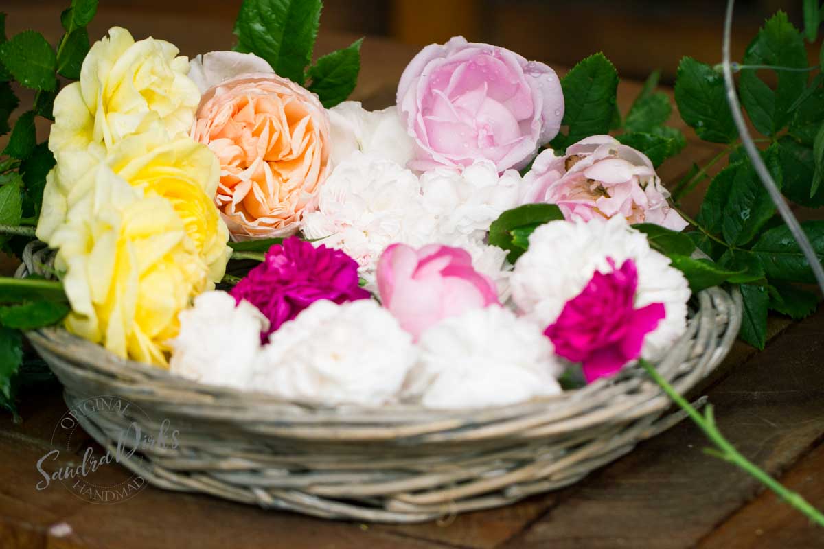 Friday Flowerday Rosenernte (4 von 36)