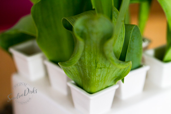 Sandra Dirks - Tulpen in Delfter Vase Tukpendetail 2