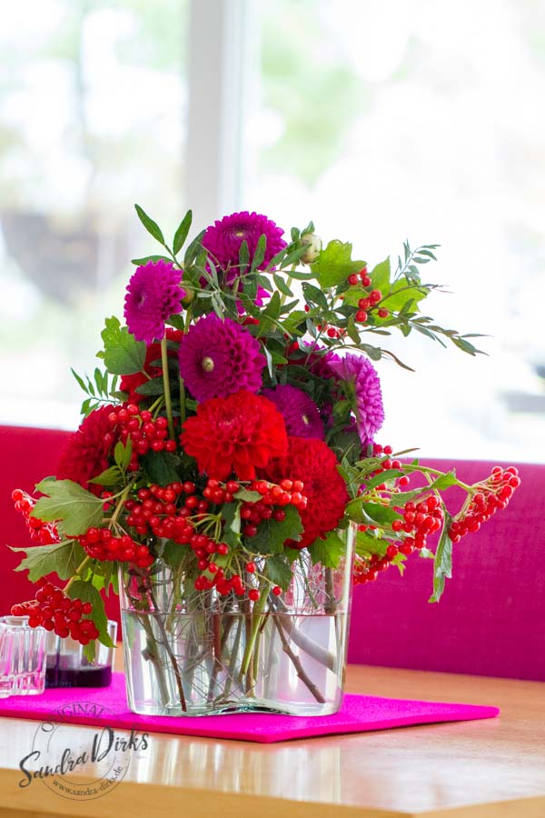 Sandra Dirks - FlowerFriday Dahlien in rot und violett